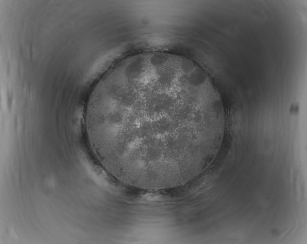 X0000113640742200910021916