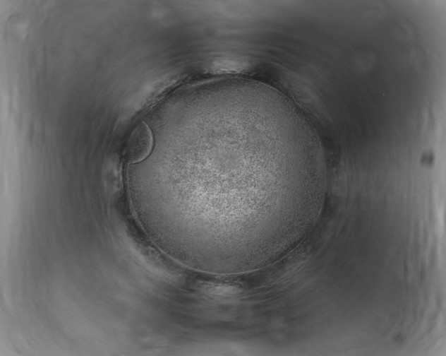 X0000113640743200910021916