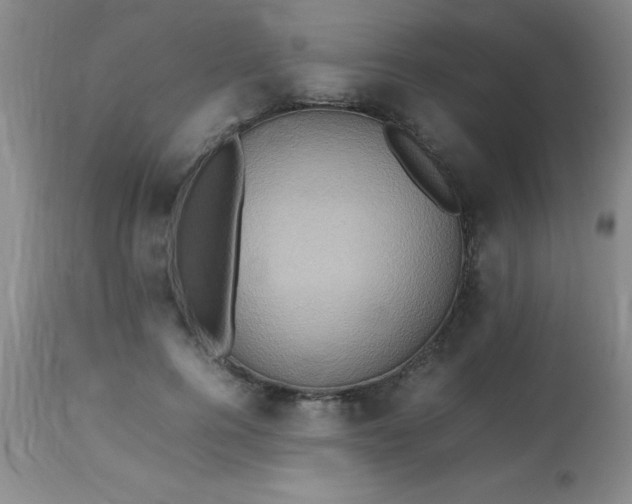 X0000113640744200910021916