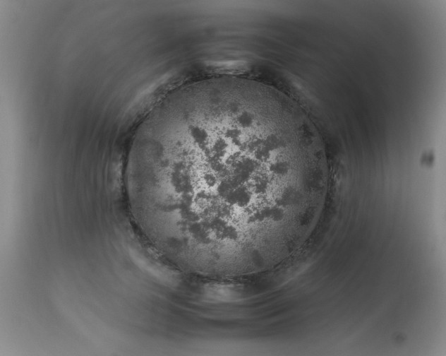 X0000113640745200910021916