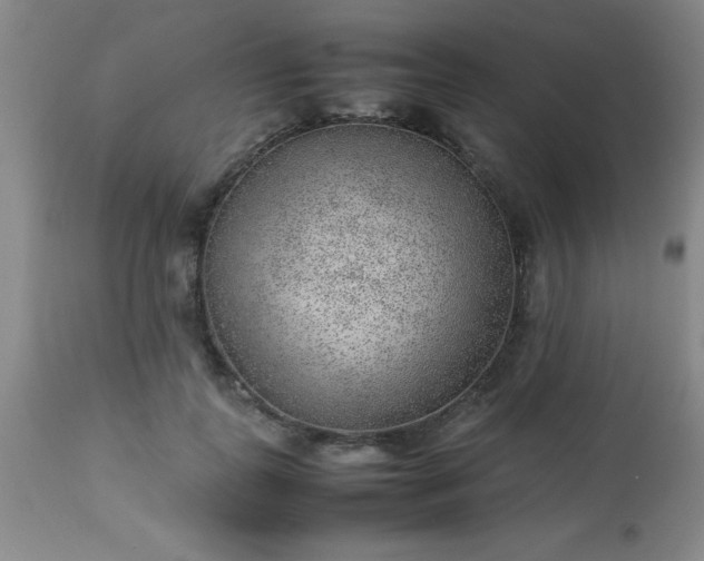 X0000113640747200910021916