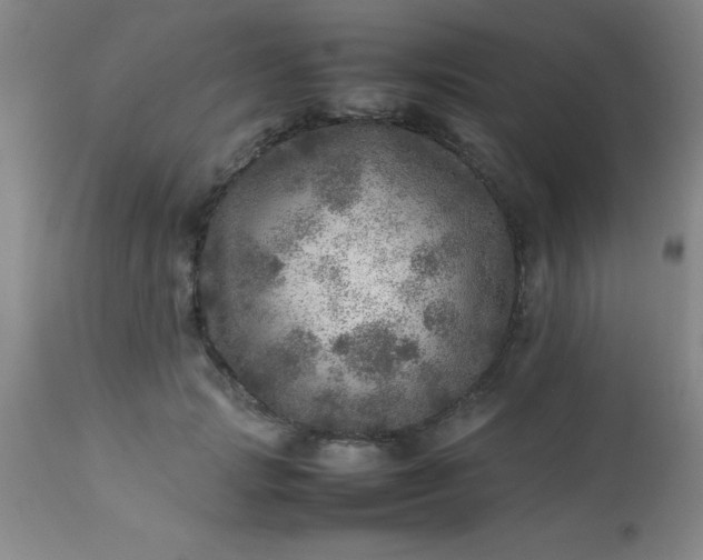 X0000113640749200910021916