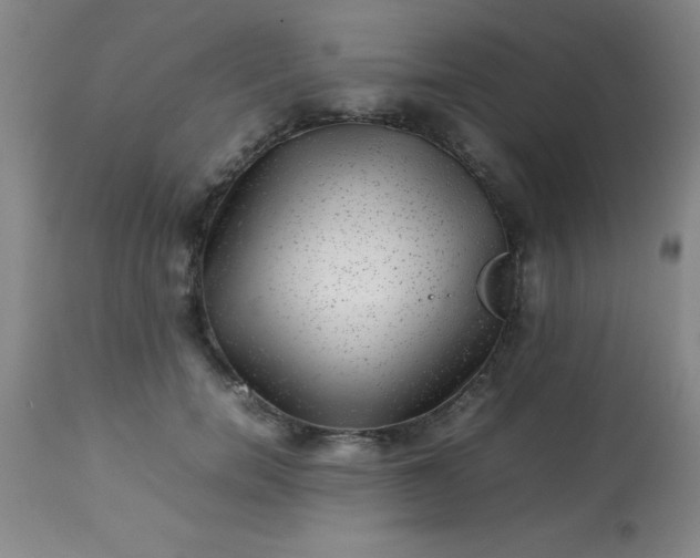 X0000113640750200910021916