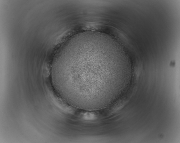 X0000113640751200910021916