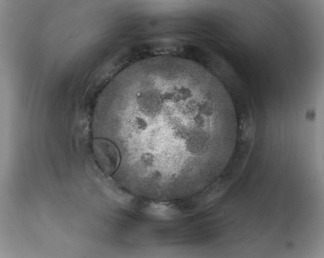 X0000113640753200910021916