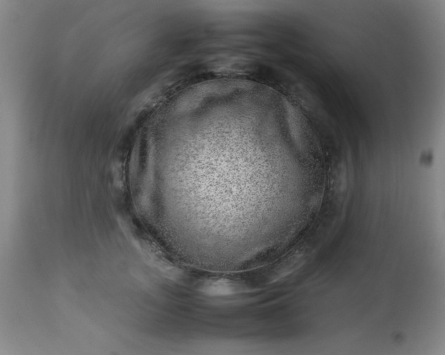 X0000113640755200910021916