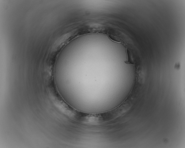 X0000113640756200910021916