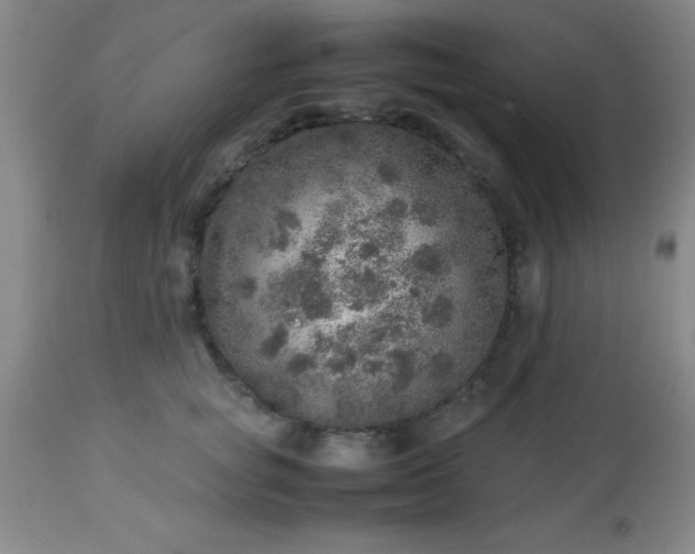 X0000113640757200910021916