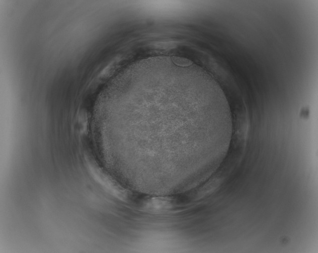 X0000113640758200910021916