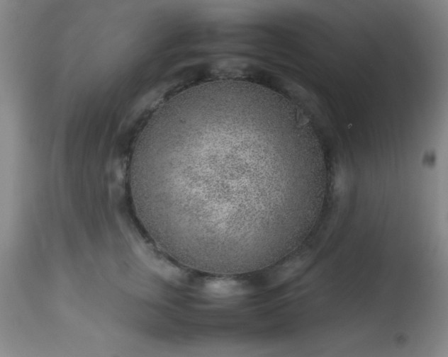 X0000113640759200910021916