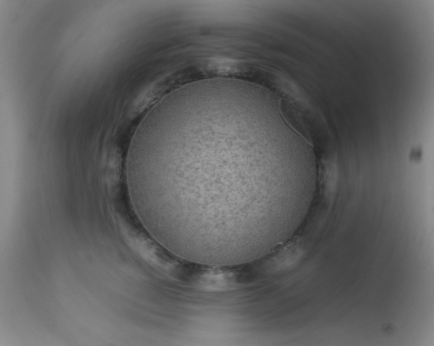 X0000113640760200910021916