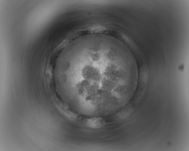 X0000113640761200910021916