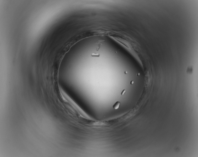 X0000113640762200910021916