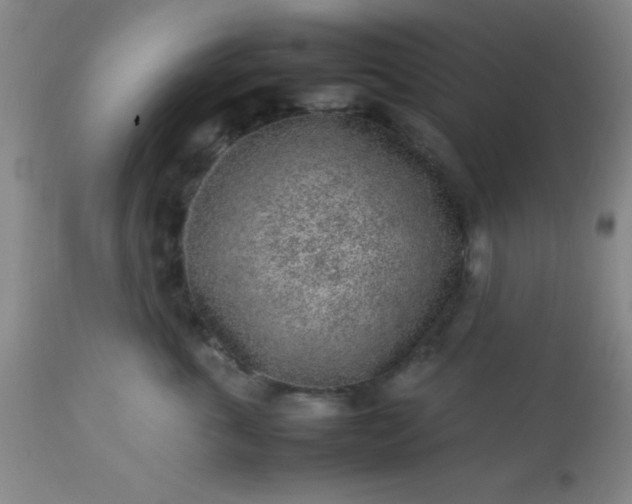 X0000113640763200910021916