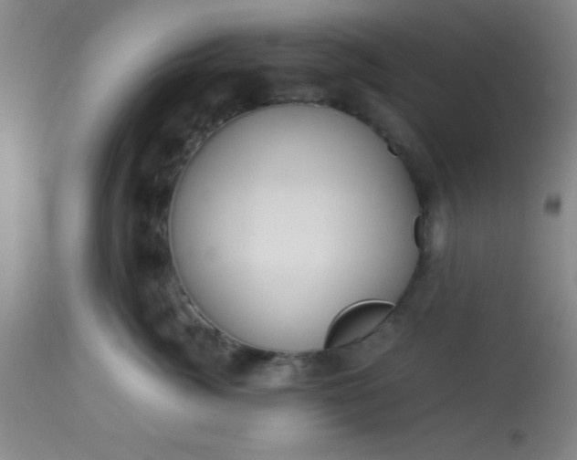 X0000113640764200910021916