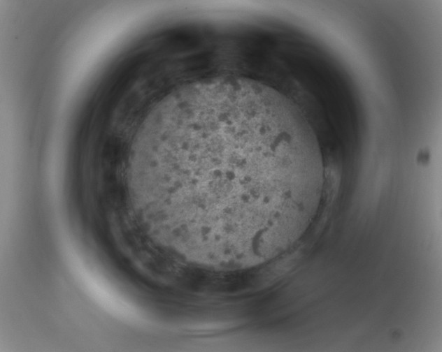 X0000113640765200910021916