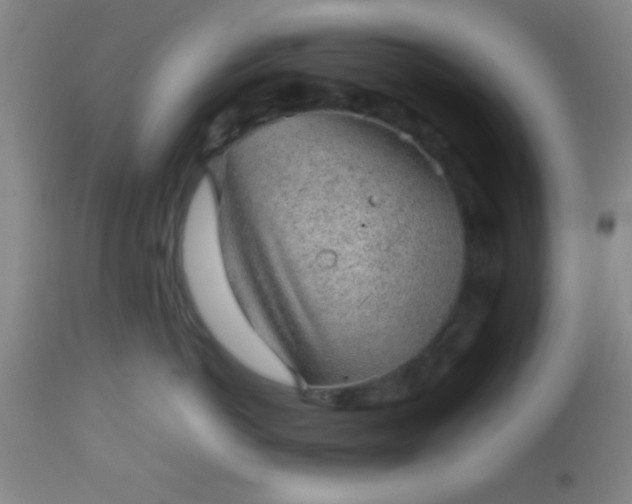 X0000113640766200910021916