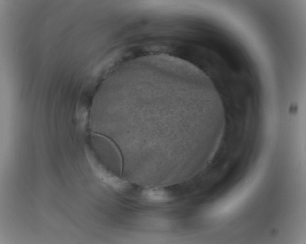 X0000113640767200910021916