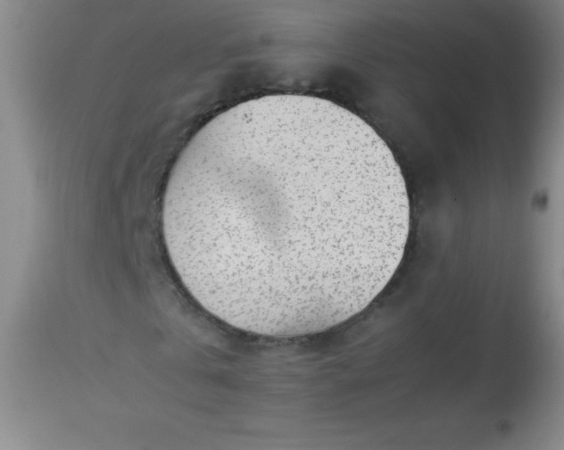 X0000113640769200910021916