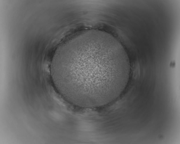 X0000113640770200910021916