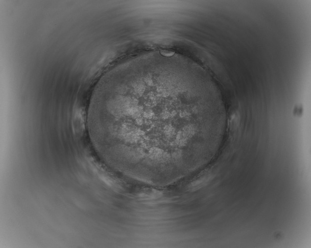 X0000113640772200910021916