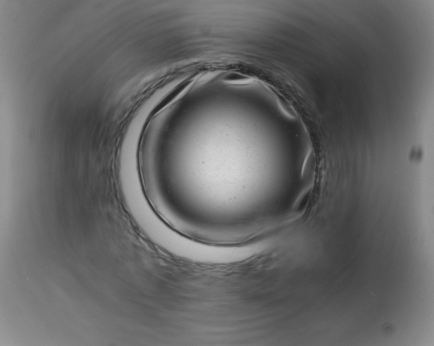 X0000113640773200910021916