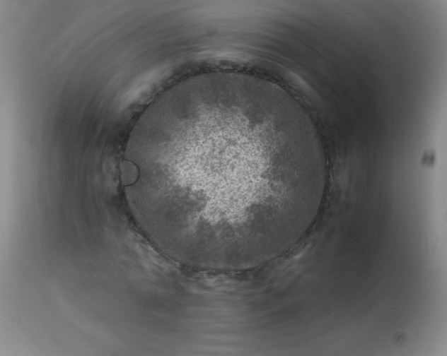 X0000113640774200910021916