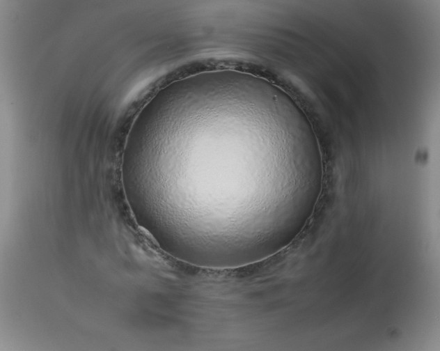 X0000113640775200910021915