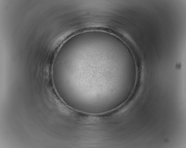 X0000113640777200910021915