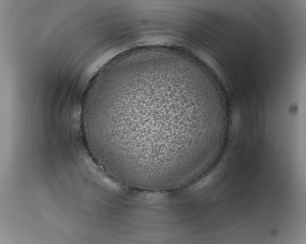 X0000113640778200910021915