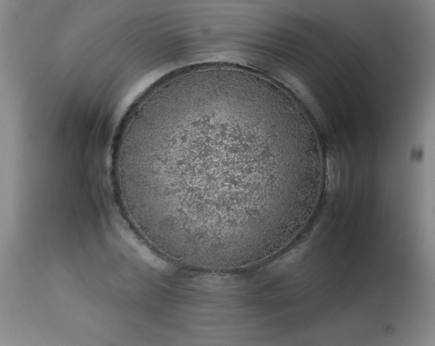 X0000113640780200910021915