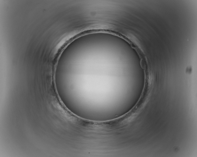 X0000113640781200910021915