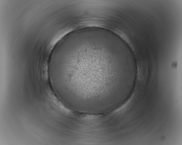 X0000113640782200910021915