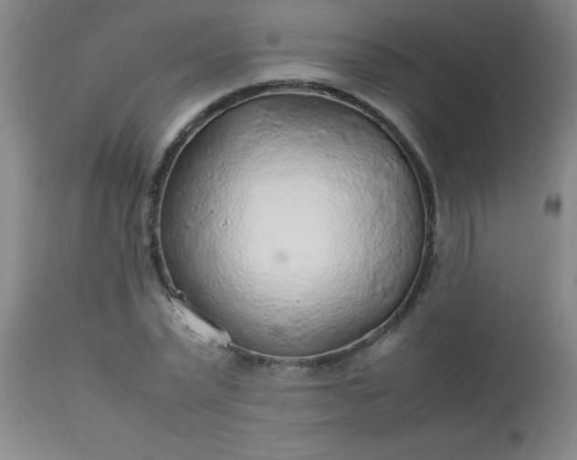 X0000113640783200910021915