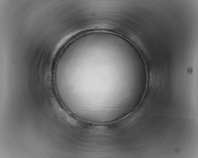 X0000113640784200910021915