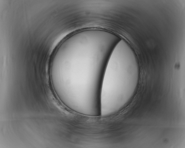 X0000113640788200910021915