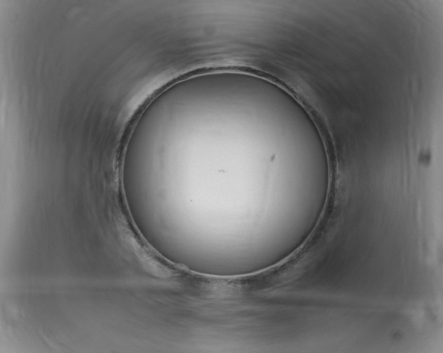 X0000113640789200910021915