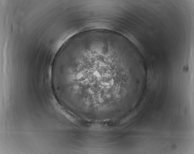 X0000113640790200910021915