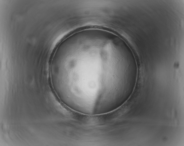 X0000113640791200910021915