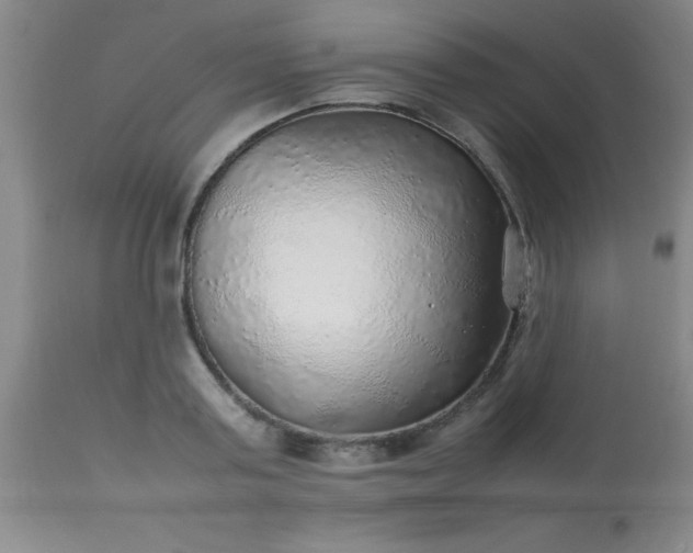 X0000113640795200910021915