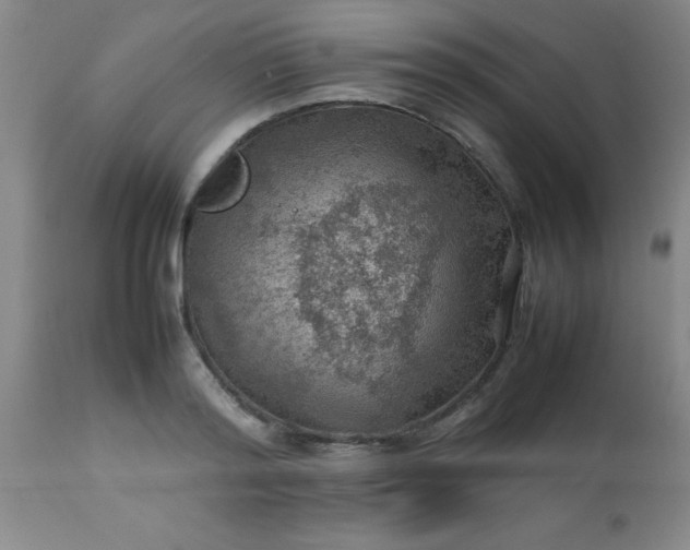 X0000113640796200910021915