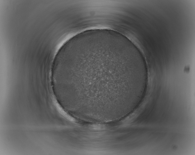 X0000113640797200910021915