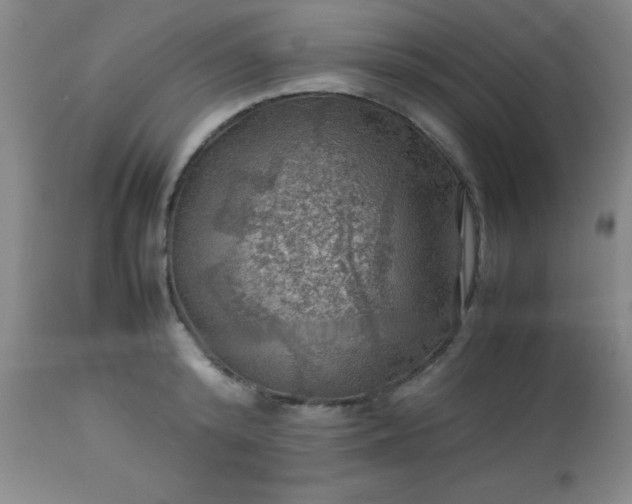 X0000113640800200910021915