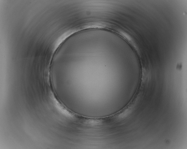 X0000113640802200910021915