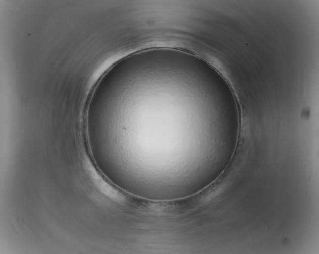 X0000113640803200910021915