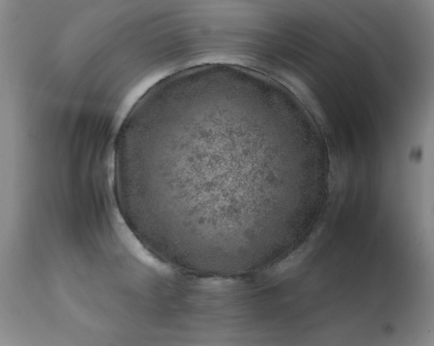 X0000113640804200910021915