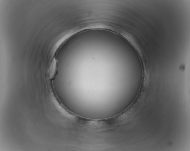 X0000113640805200910021915