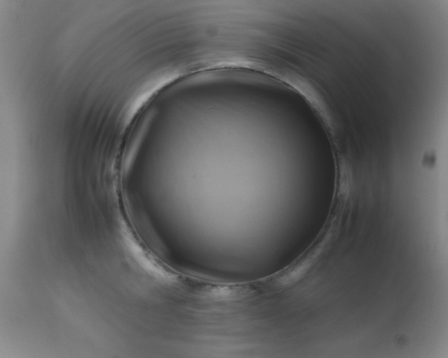 X0000113640806200910021915