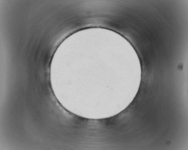 X0000113640807200910021915