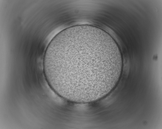 X0000113640810200910021915